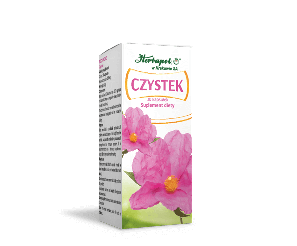 CZYSTEK
