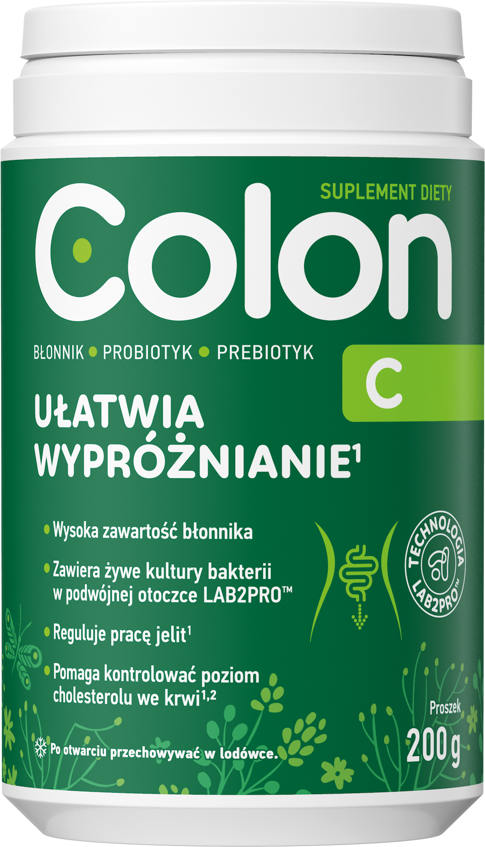 Colon C