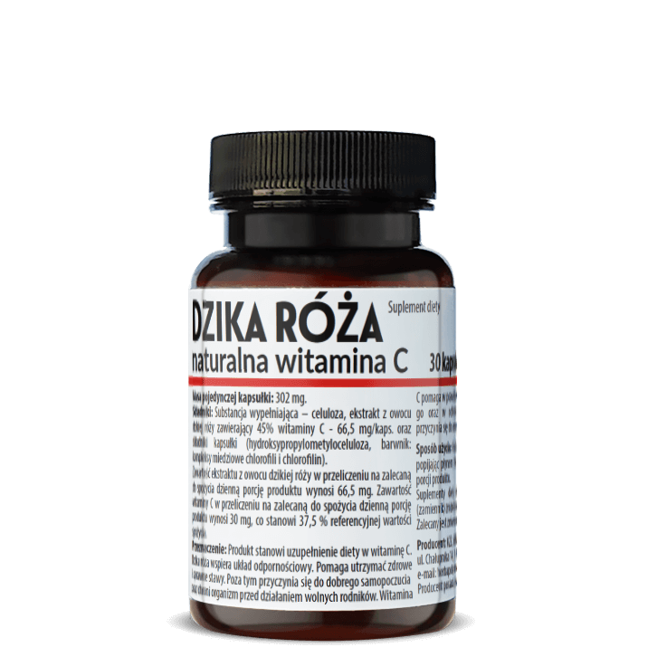 DZIKA RÓŻA