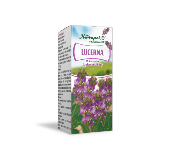 LUCERNA